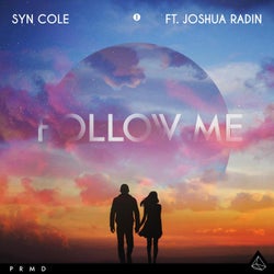 Follow Me (Extended Mix) feat. Joshua Radin