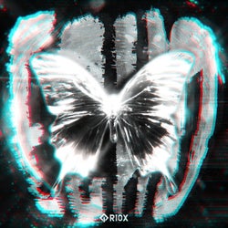 ECHO