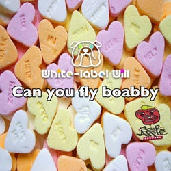 Can you fly Boabby?