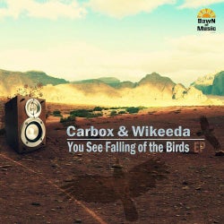 Carbox&Wikeeda - You See Falling of the Birds