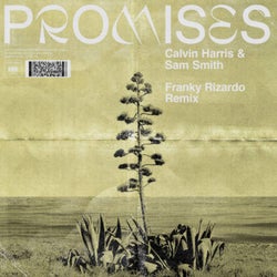 Promises (Franky Rizardo Extended Remix)