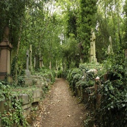 Highgate Cemetary