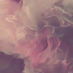 Lost in Love