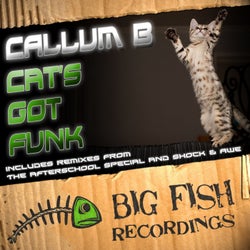 Cat's Got Funk