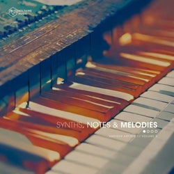 Synths, Notes & Melodies Vol. 8