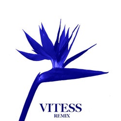 Désert (Vitess Remix)