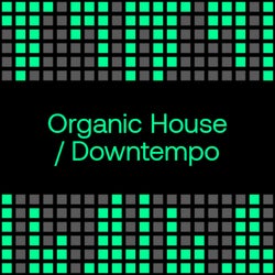 Top Streamed Tracks 2023: Organic H / D