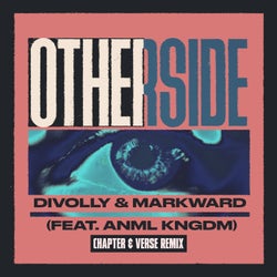 Otherside (feat. ANML KNGDM) (Chapter & Verse Remix)