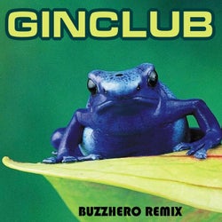 Frog (Buzzhero Remix)