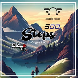 500 steps