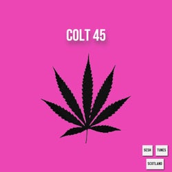 Colt 45