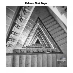 Zalman First Steps
