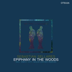 Epiphany in the Woods
