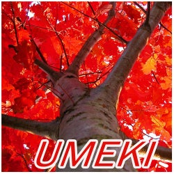 Umeki
