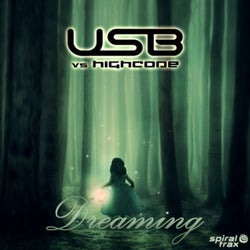 Dreaming (feat. High Code)