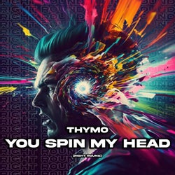 You Spin My Head (Right Round)