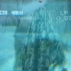 Ghouls / Play Dead / Apres Minuit