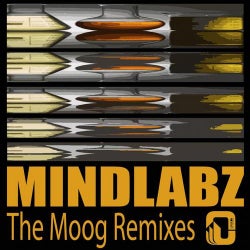 The Moog (Remixes)