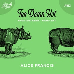 Too Damn Hot (Phos Toni Remix - Radio Edit)