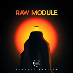 Raw Module