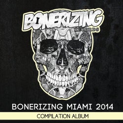 Bonerizing Miami 2014