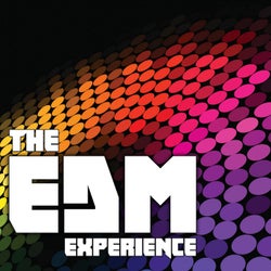 The EDM Experience