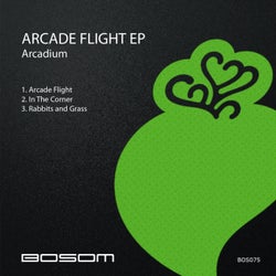 Arcade Flight EP