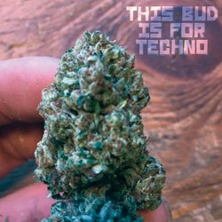 This Bud Is for Techno