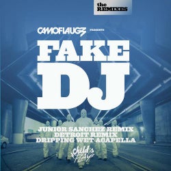 Fake DJ (The Remixes)