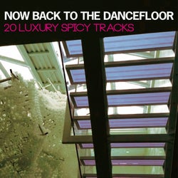Now Back to the Dancefloor (20 Luxury Spicy Tracks)