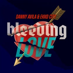 Bleeding Love (Extended Mix)