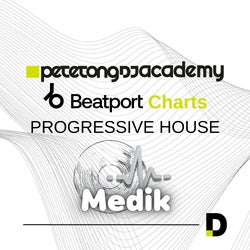 Progressive House Record Bag - PTDJA 2024