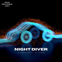 Night Diver