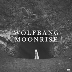 Moonrise (Original Mix)