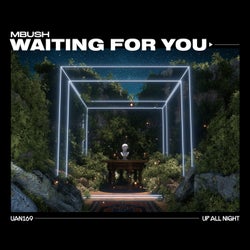 Waiting For You (Extended Mix)