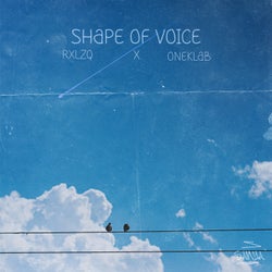 Shape Of Voice