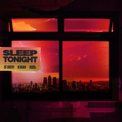 SLEEP TONIGHT (THIS IS THE LIFE) (Switch Disco VIP Mix - Extended)