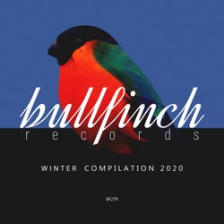 Bullfinch Winter 2020 Compilation