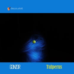 Tulperus