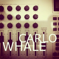 Carlo Whale- The first Chart