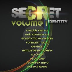 Secret Identity: Volume 1