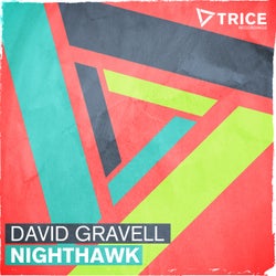 Nighthawk
