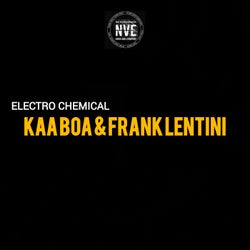 ELECTRO CHEMICAL