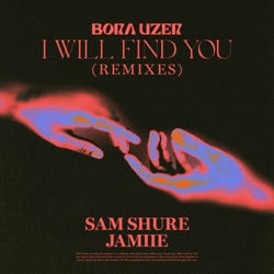 I Will Find You - Remixes