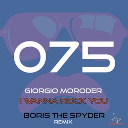 I Wanna Rock You (Boris the Spyder Remix)