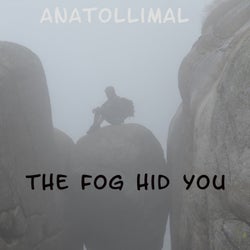 The Fog Hid You
