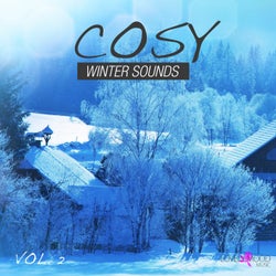 Cosy Winter Sounds Vol. 2