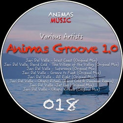 Animas Groove 1.0