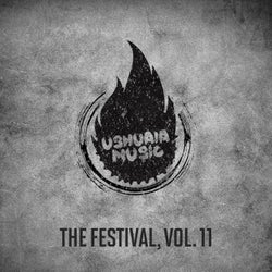 The Festival, Vol. 11