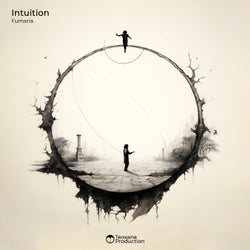 Intuition